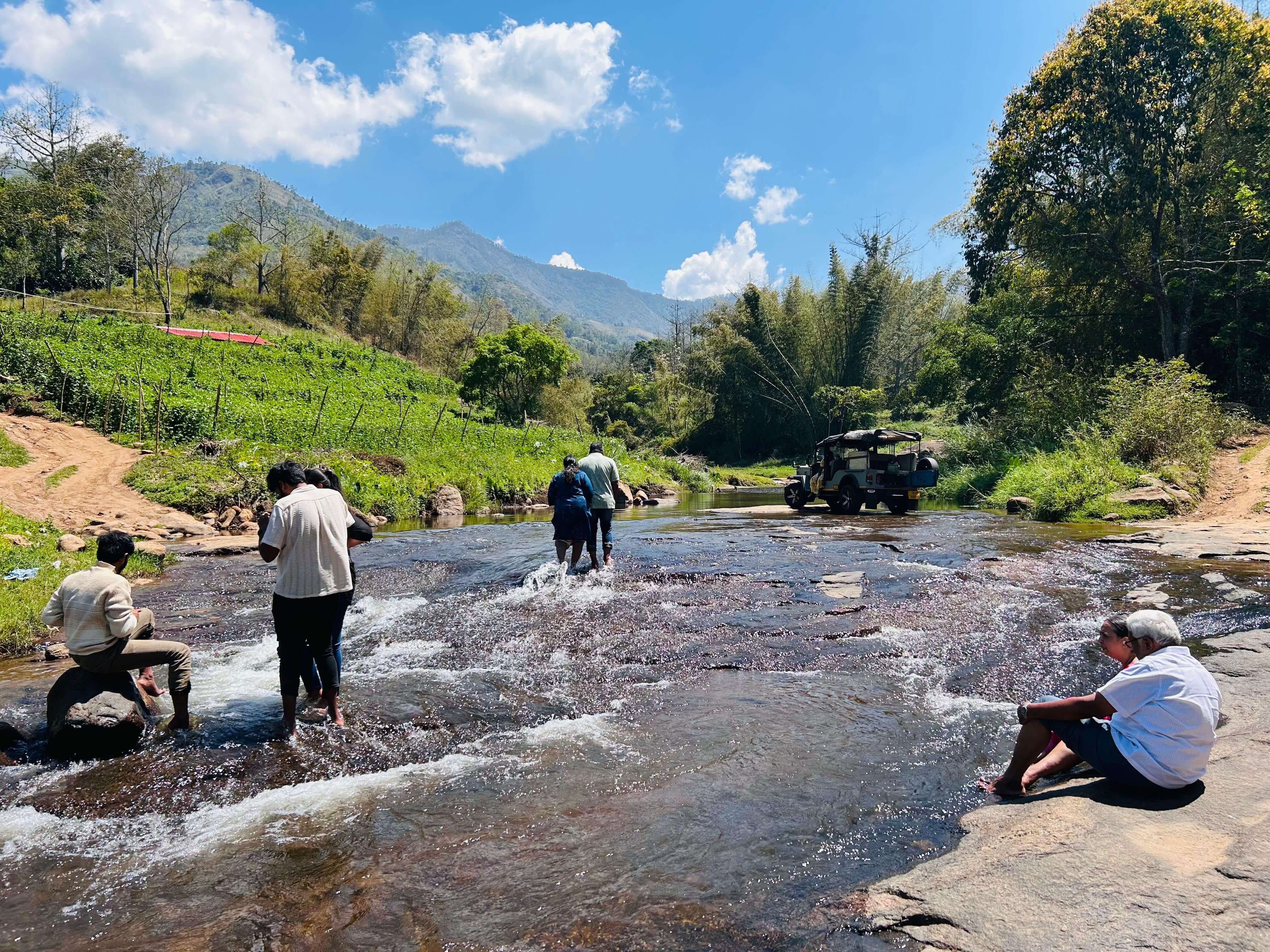 Jeep Safari Background